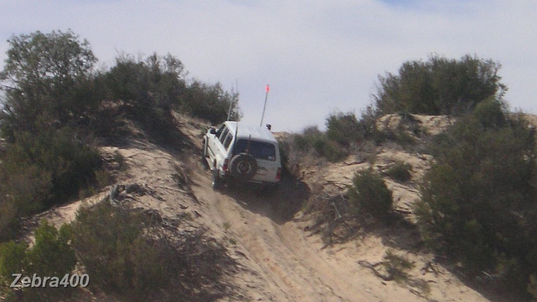 09-Zebra climbs the dune at Ross Springs.JPG